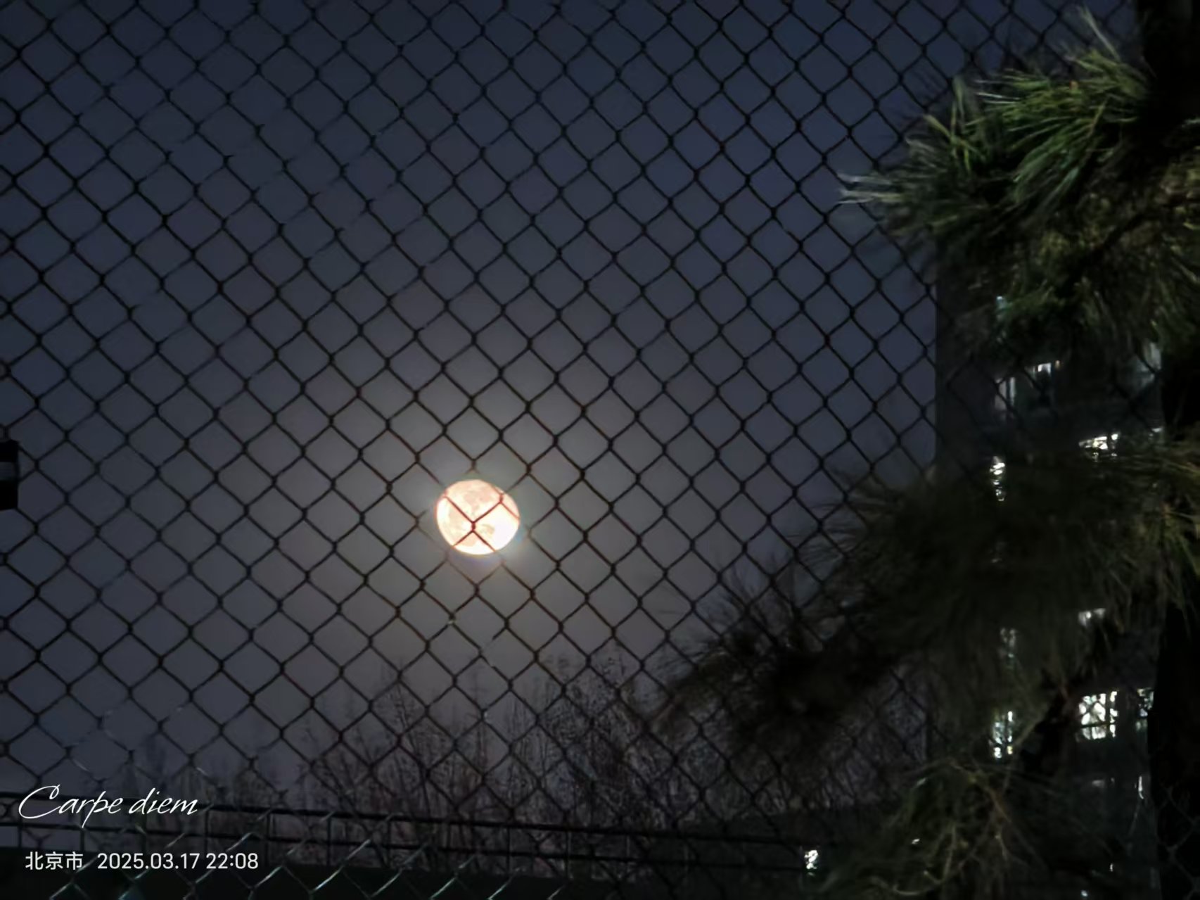 moon