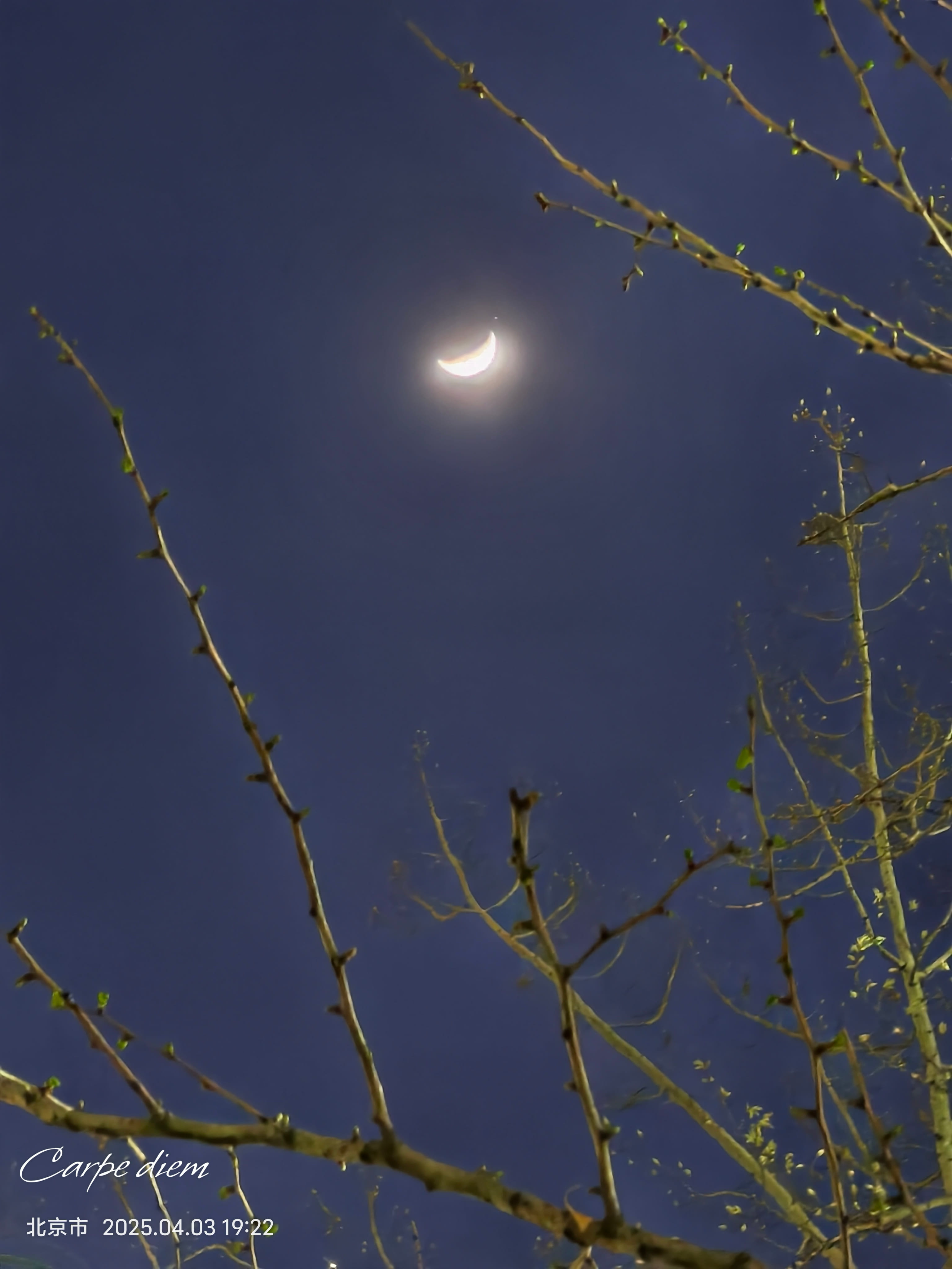 moon